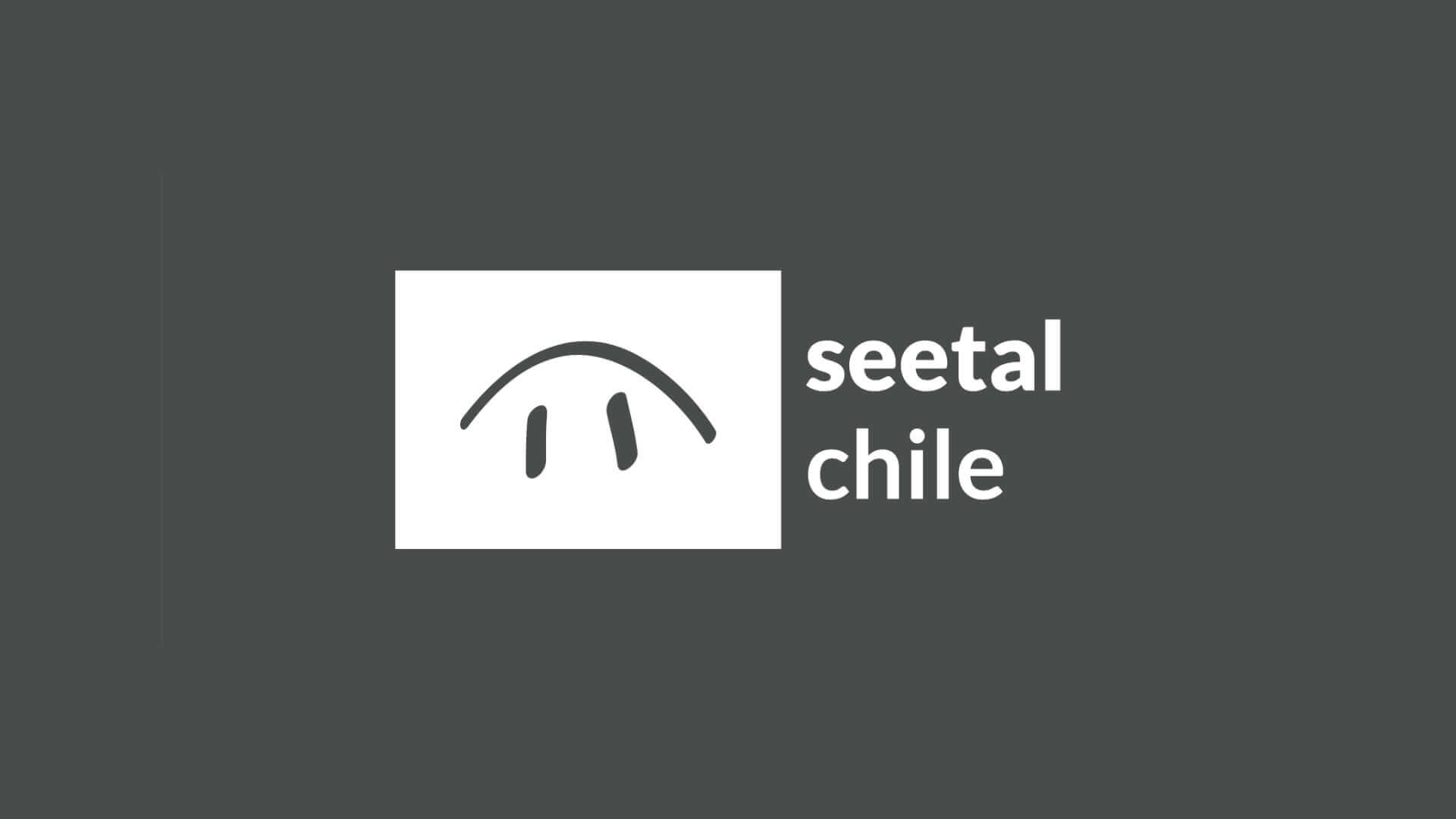 Neues_Logo_seetal-chile
